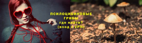 гидра Балахна