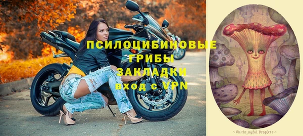 дживик Баксан