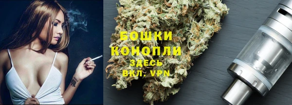 гидра Балахна