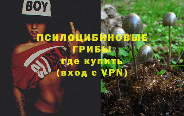 гидра Балахна