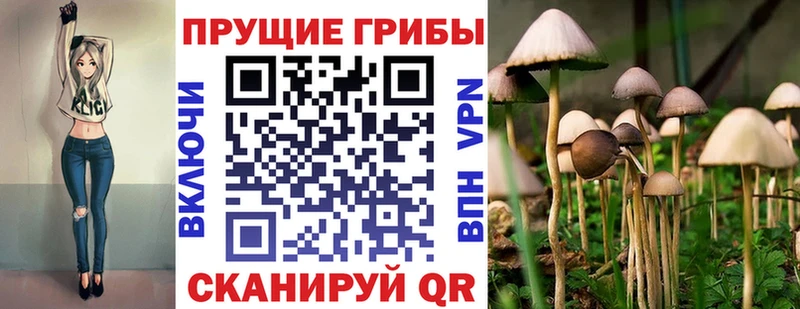 Галлюциногенные грибы ЛСД  Константиновск 